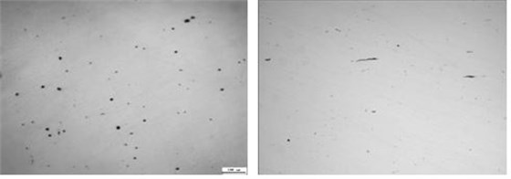 氧化物夾雜 硫化物夾雜和氧化物夾雜
