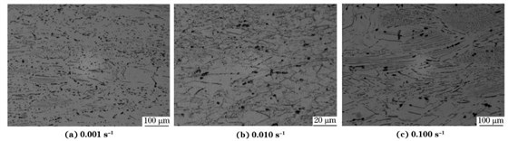 圖６ 在９８０ ℃、不同應(yīng)變速率下壓縮至應(yīng)變量為７０％后GH４１６９合金的顯微組織