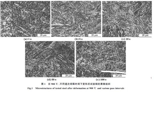 圖１ 在９００ ℃、不同道次間隔時(shí)間下變形后試驗(yàn)鋼的顯微組織