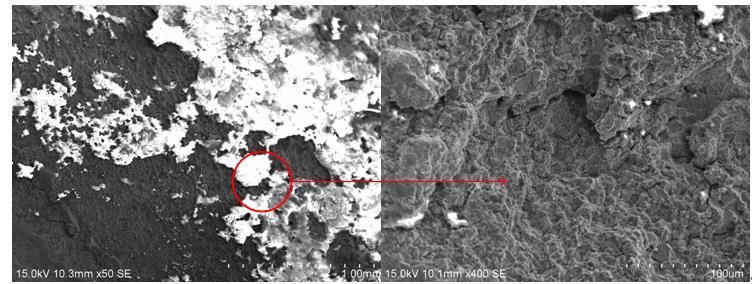 鹽酸水溶液超聲波清洗后斷口宏、微觀形貌