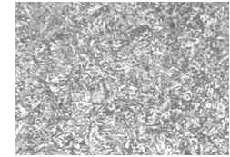 3Cr13螺栓調(diào)質(zhì)金相組織200&times;