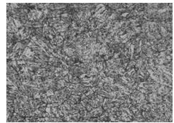25 鋼螺栓回火組織 400&times;