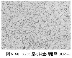 圖5-50 A286原材料金相組織100&times;