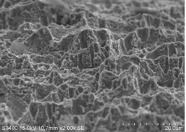 圖14-7 C區(qū)微觀形貌 圖14-7 C區(qū)微觀形貌