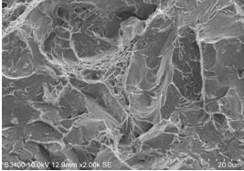 圖12-63 擴展區(qū)斷口微觀形貌。