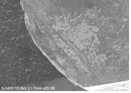 圖11-94 斷面宏觀形貌