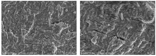 圖11-133 疲勞擴展區(qū)疲勞條帶 圖11-134疲勞擴展區(qū)疲勞條帶 圖11-133 疲勞擴展區(qū)疲勞條帶 圖11-134疲勞擴展區(qū)疲勞條帶