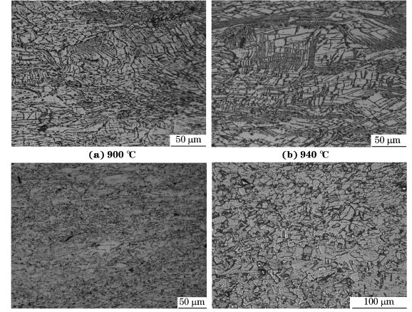 圖５ 在不同溫度、應(yīng)變速率為０．０１０s－１下壓縮至應(yīng)變量為７０％后GH４１６９合金的顯微組織