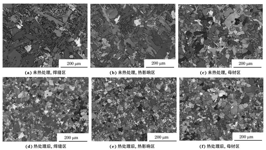 圖２ 熱處理前后焊接接頭焊縫區(qū)、熱影響區(qū)和母材區(qū)的取向成像圖