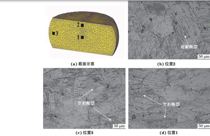 在９８０ ℃、應(yīng)變速率為０．０１０s－１下壓縮至應(yīng)變量為３０％后