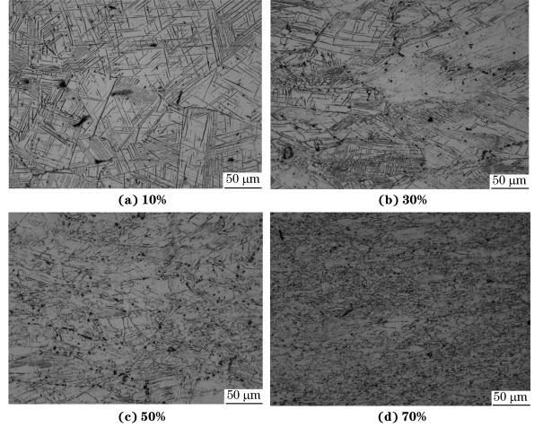 圖４ 在９８０ ℃、應(yīng)變速率為０．０１０s－１
